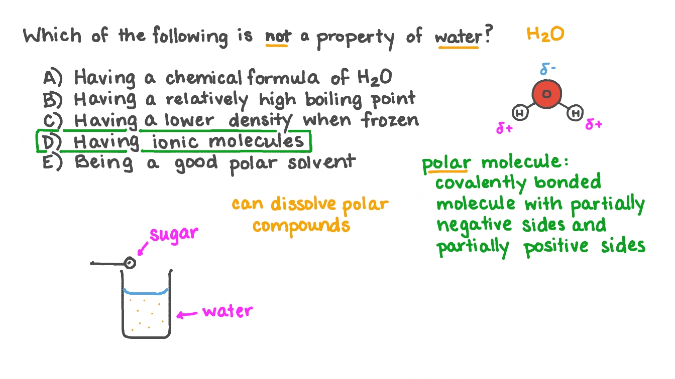 Question Video Identifying the Statement That Does Not Describe Water