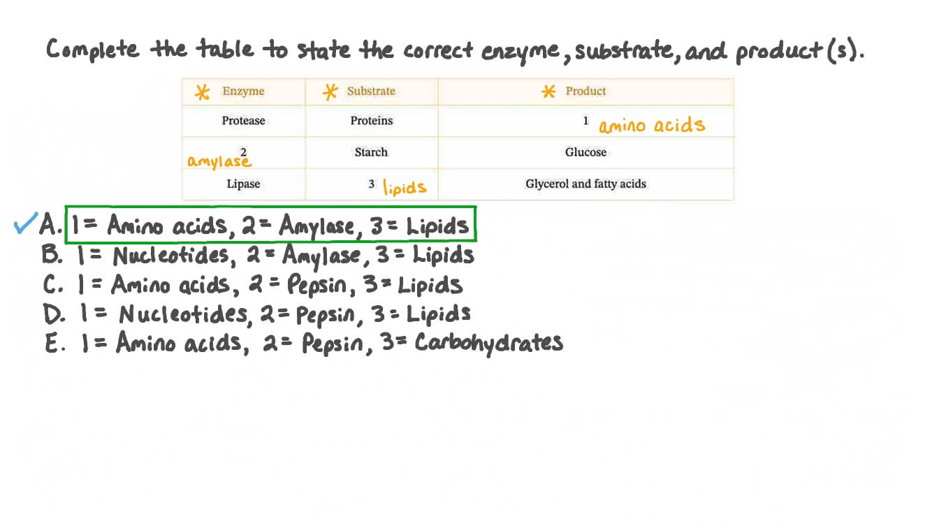 Question Video Identifying Enzymes and Their Substrates and Products Nagwa