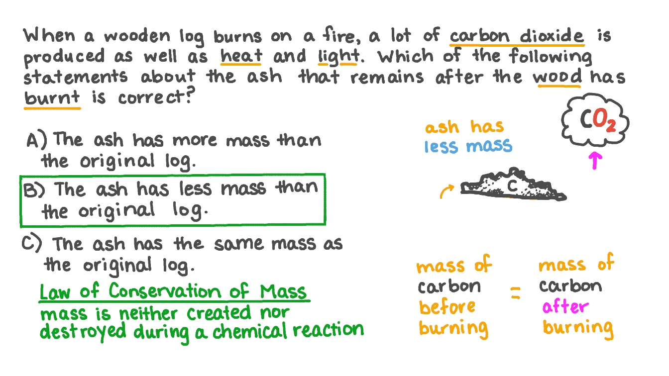 Question Video Identifying the Statement That Correctly Describes the