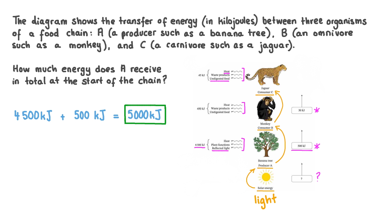 Question Video Calculating the Amount of Energy at the Start of an