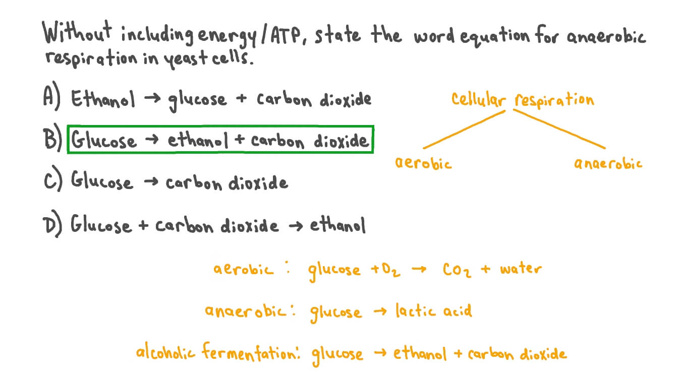 Question Video Identifying the Word Equation for Anaerobic Respiration