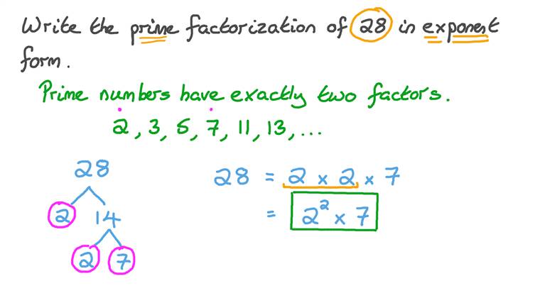 Lesson Prime Factorization with Exponents Nagwa