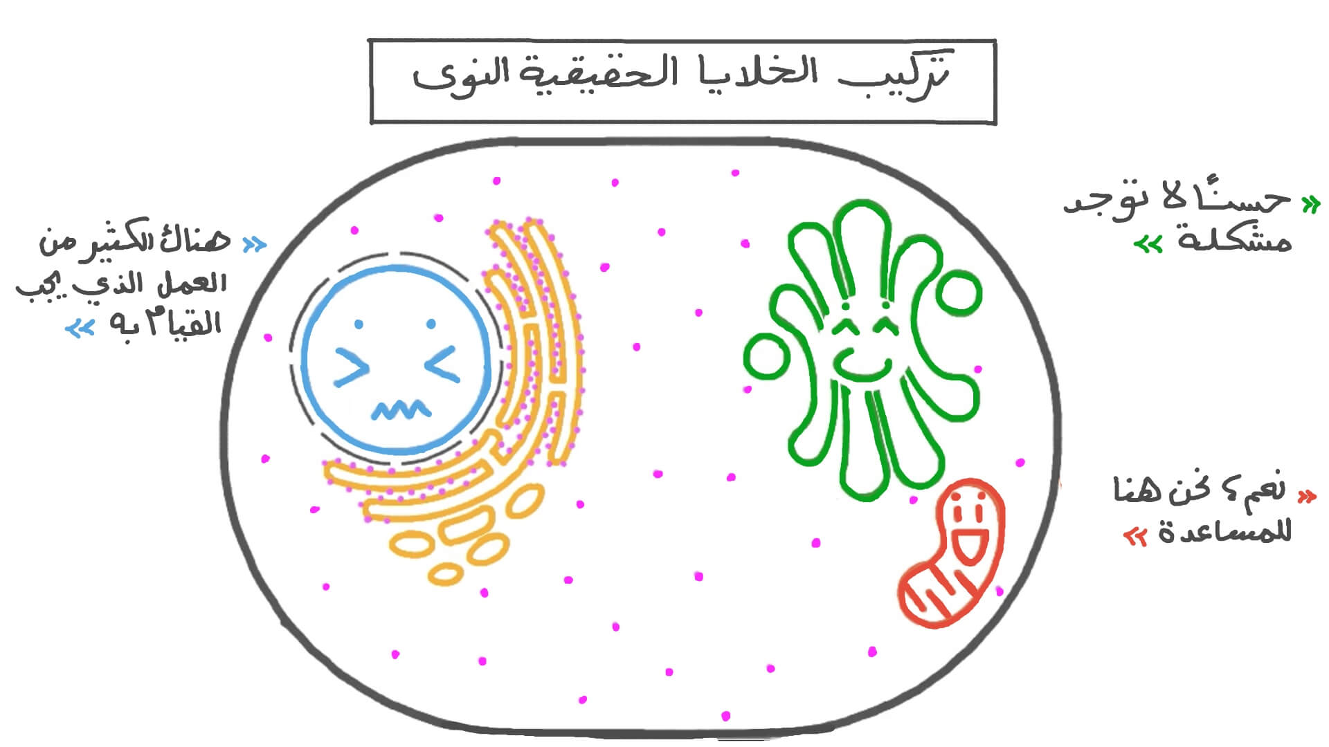 صور الخلايا الموجودة في درس عالم الخلايا