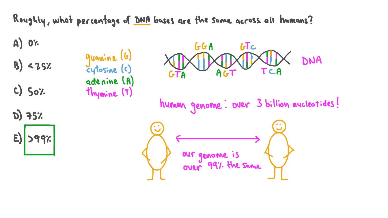 Question Video Estimating the Percentage of DNA That Is the Same