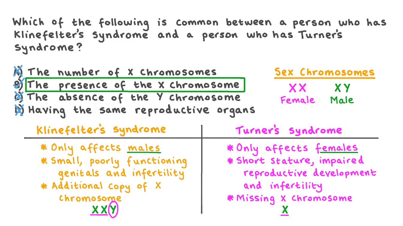 Question Video Identifying a Feature Common to Klinefelter Syndrome