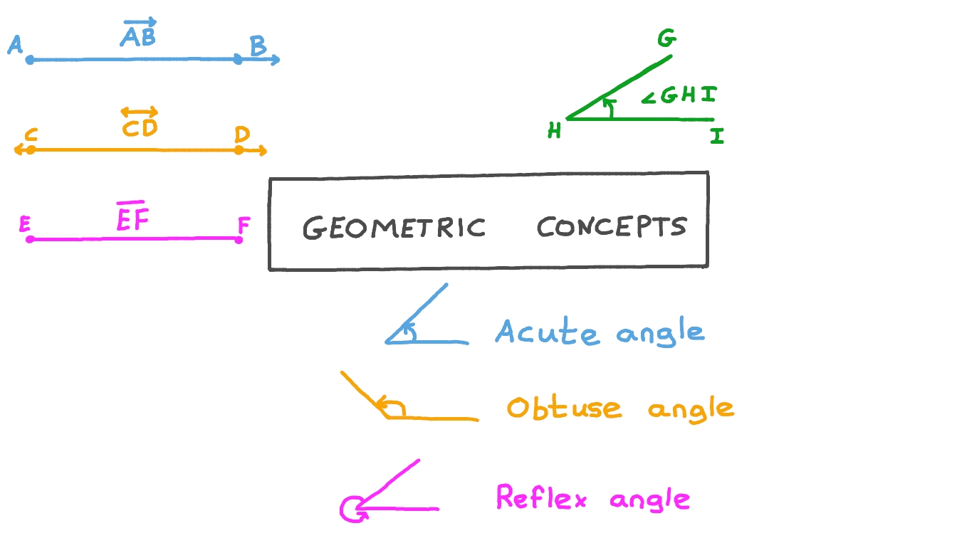 Lesson Video Geometric Concepts Nagwa
