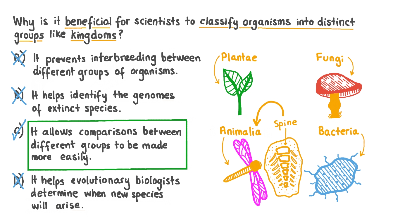 Question Video Understanding the Benefits of Classifying Organisms into Groups Nagwa
