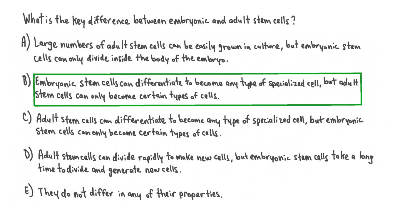 Question Video Describing the Difference between Embryonic and Adult