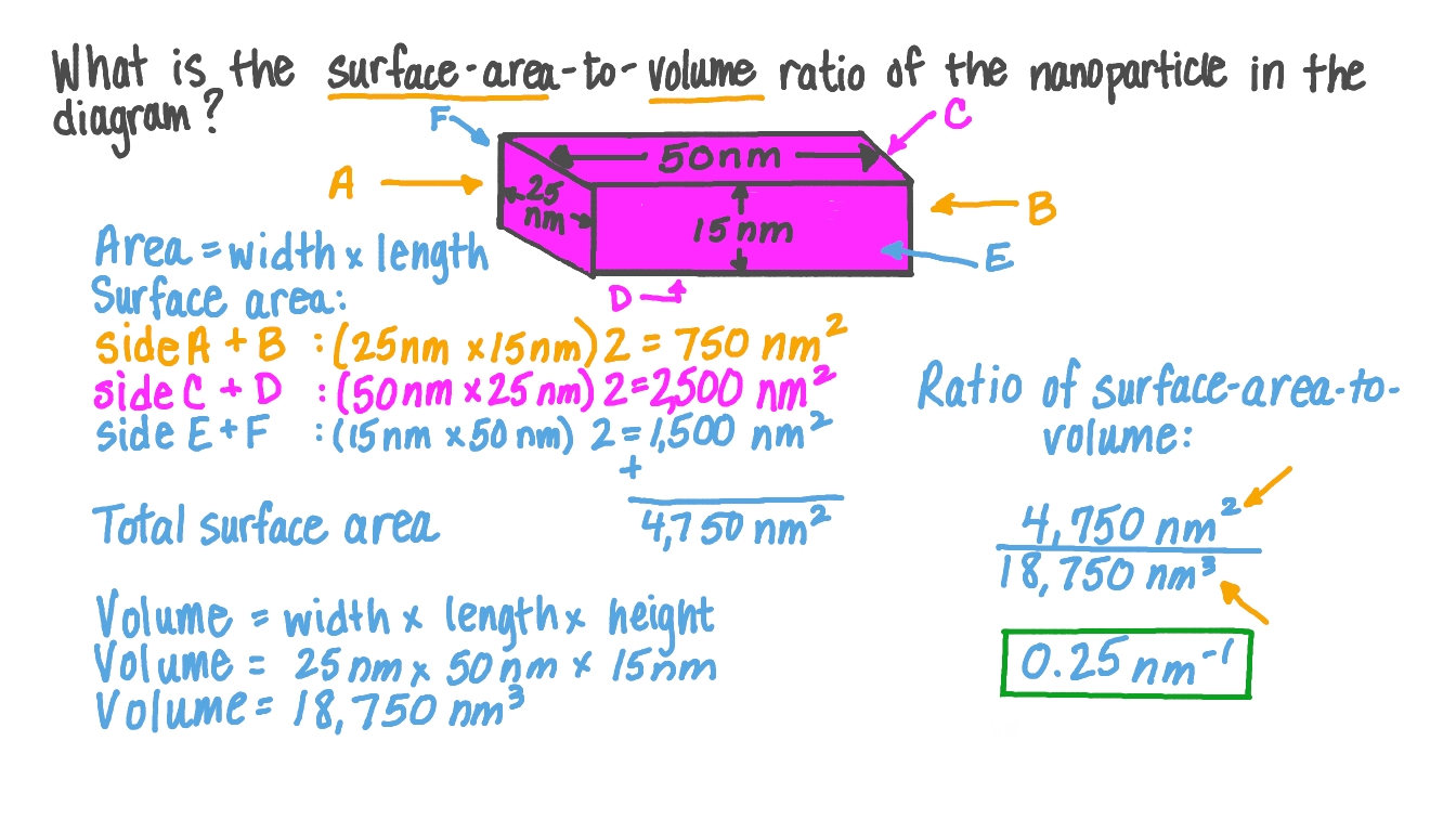 How Do You Calculate The Surface Area To Volume Ratio Of A Cube