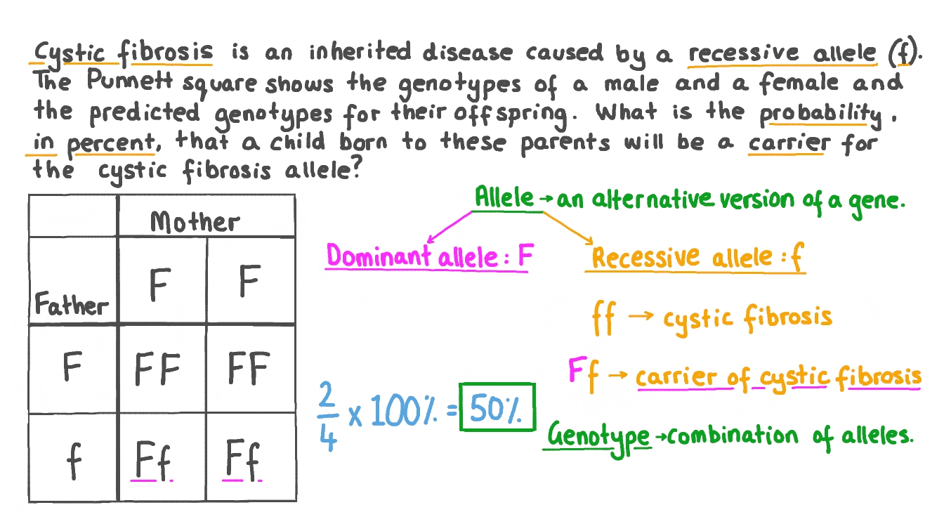Question Video Calculating the Probability of a Child Being a Carrier