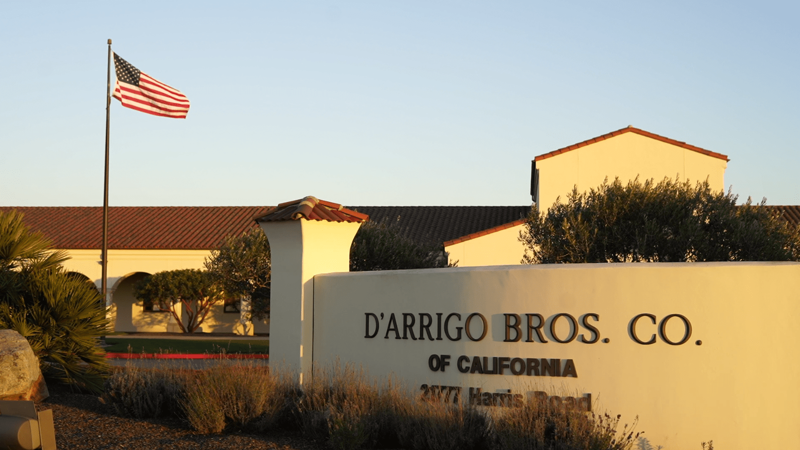 COVID19 Still Spiking in California Farm Fields NBC Bay Area