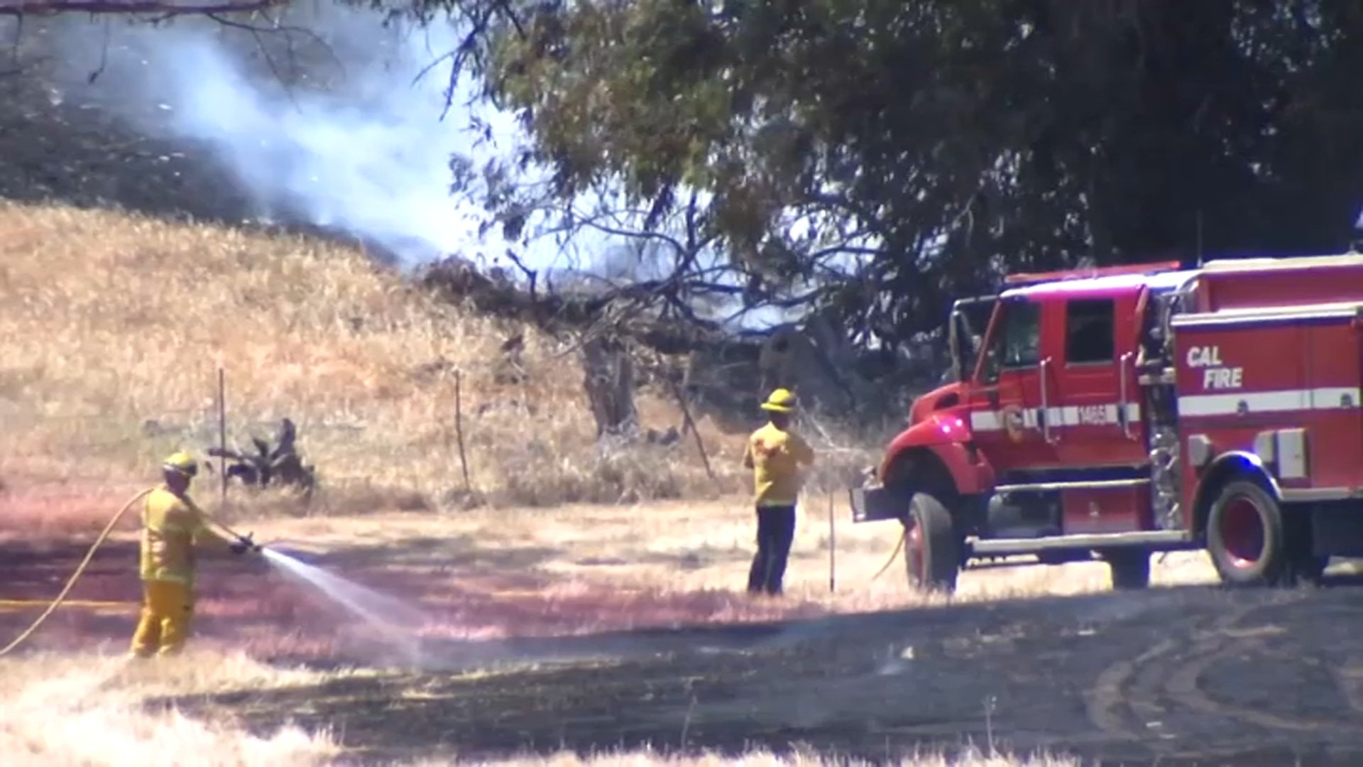 Firefighters Concerned About Fire Danger in East Bay Hills - Vimarsana News
