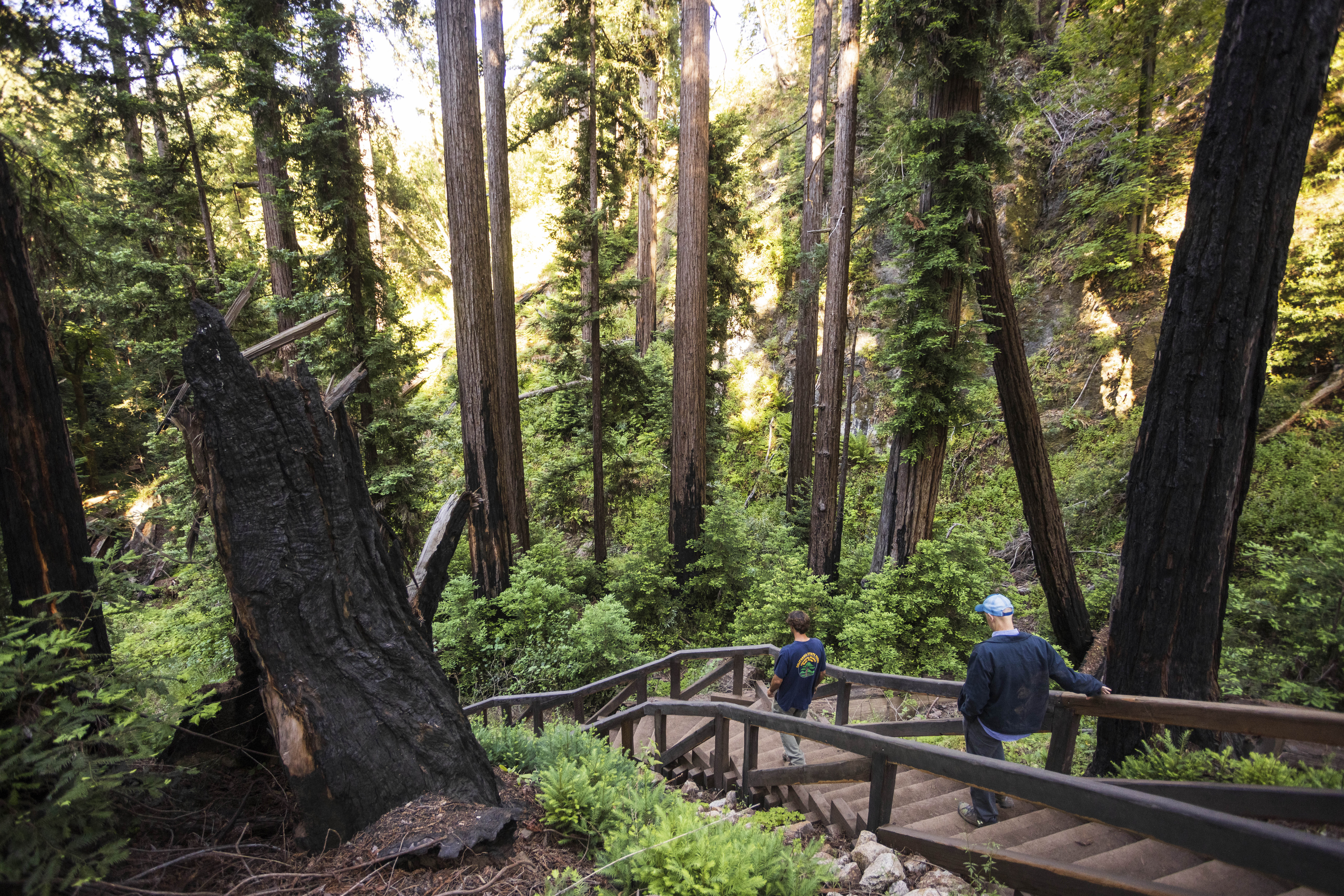 Popular Big Sur Trail to Reopen After 13-Year Closure - Vimarsana News