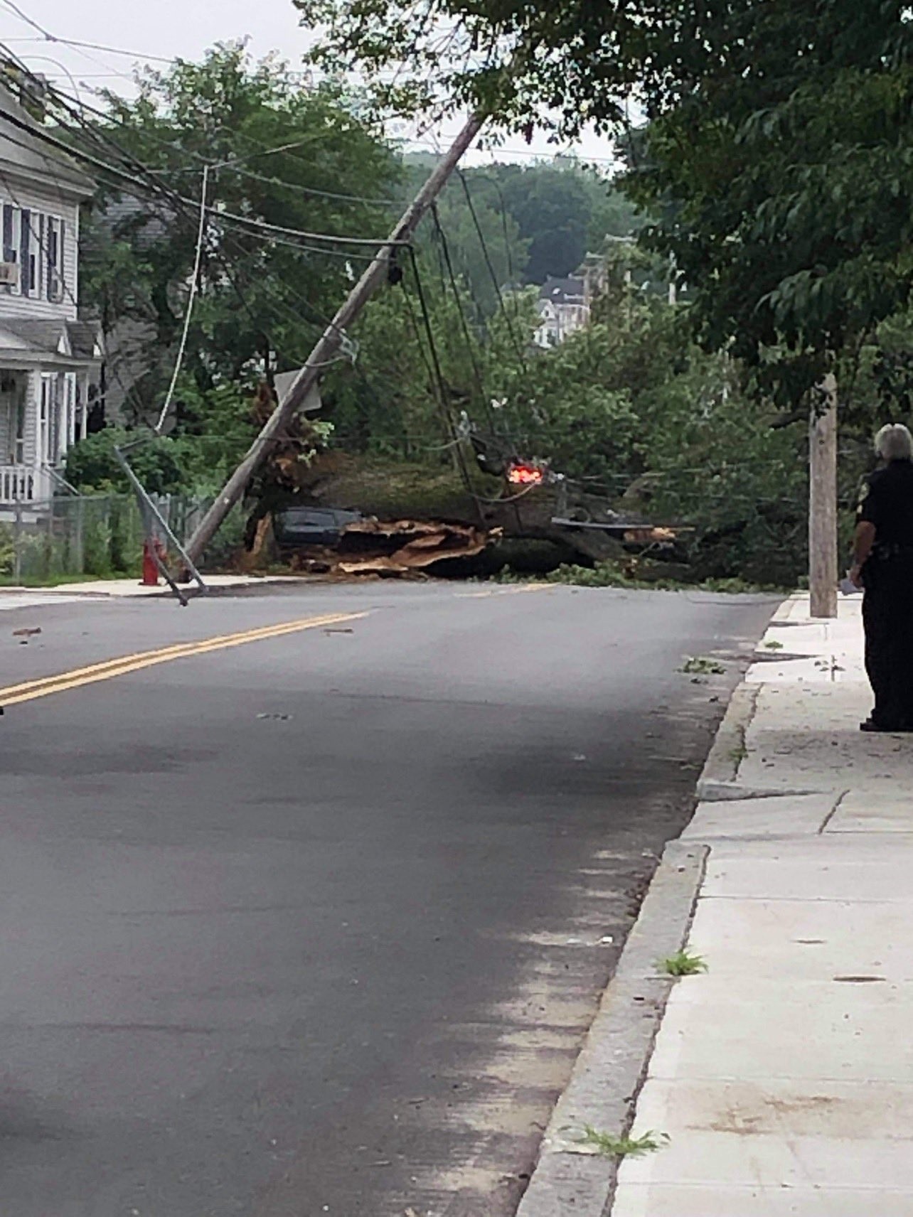 Lowell Tree Down on Hildreth Street NBC Boston