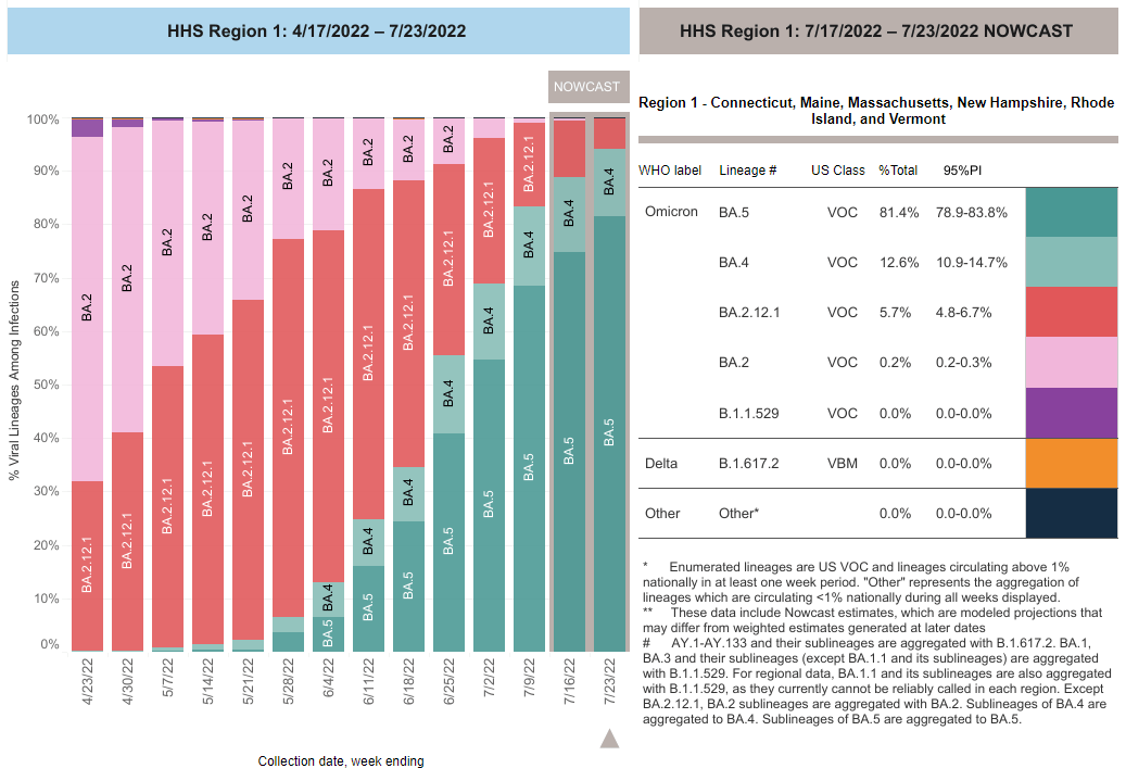 Boston COVID Dashboard Hospitalization Rate Up in BA.5 Variant Wave
