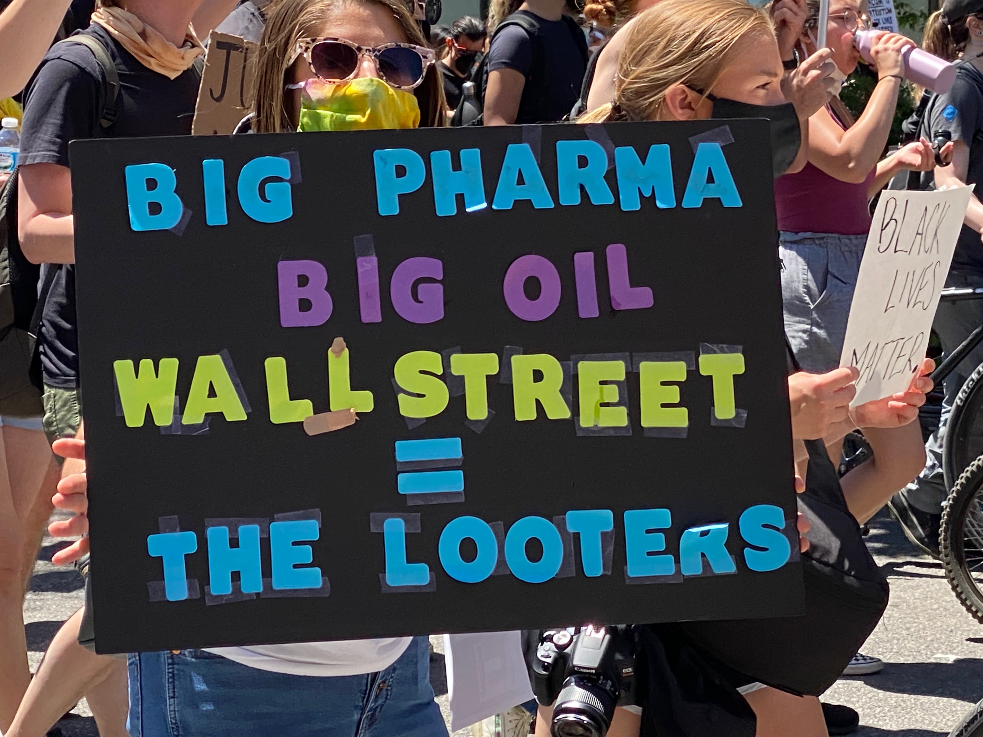 Photos See the Signs Union Park Protesters Carried During Saturday