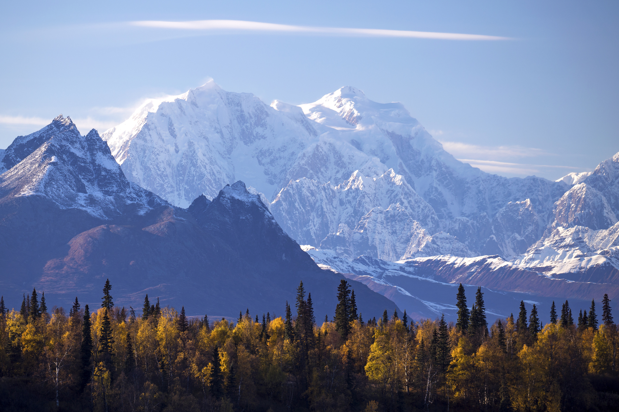 Alaska Woman Finds Biological Brother From Illinois Through 23andMe - Vimarsana News