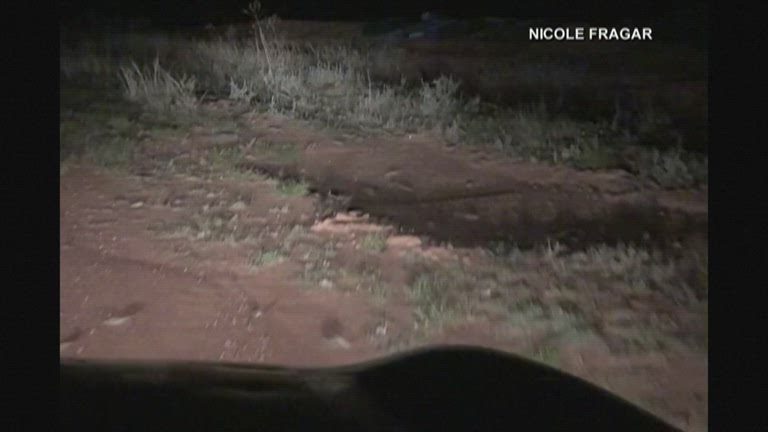Ravenous, Destructive Mice Are Tormenting Australians – NBC Chicago - Vimarsana News