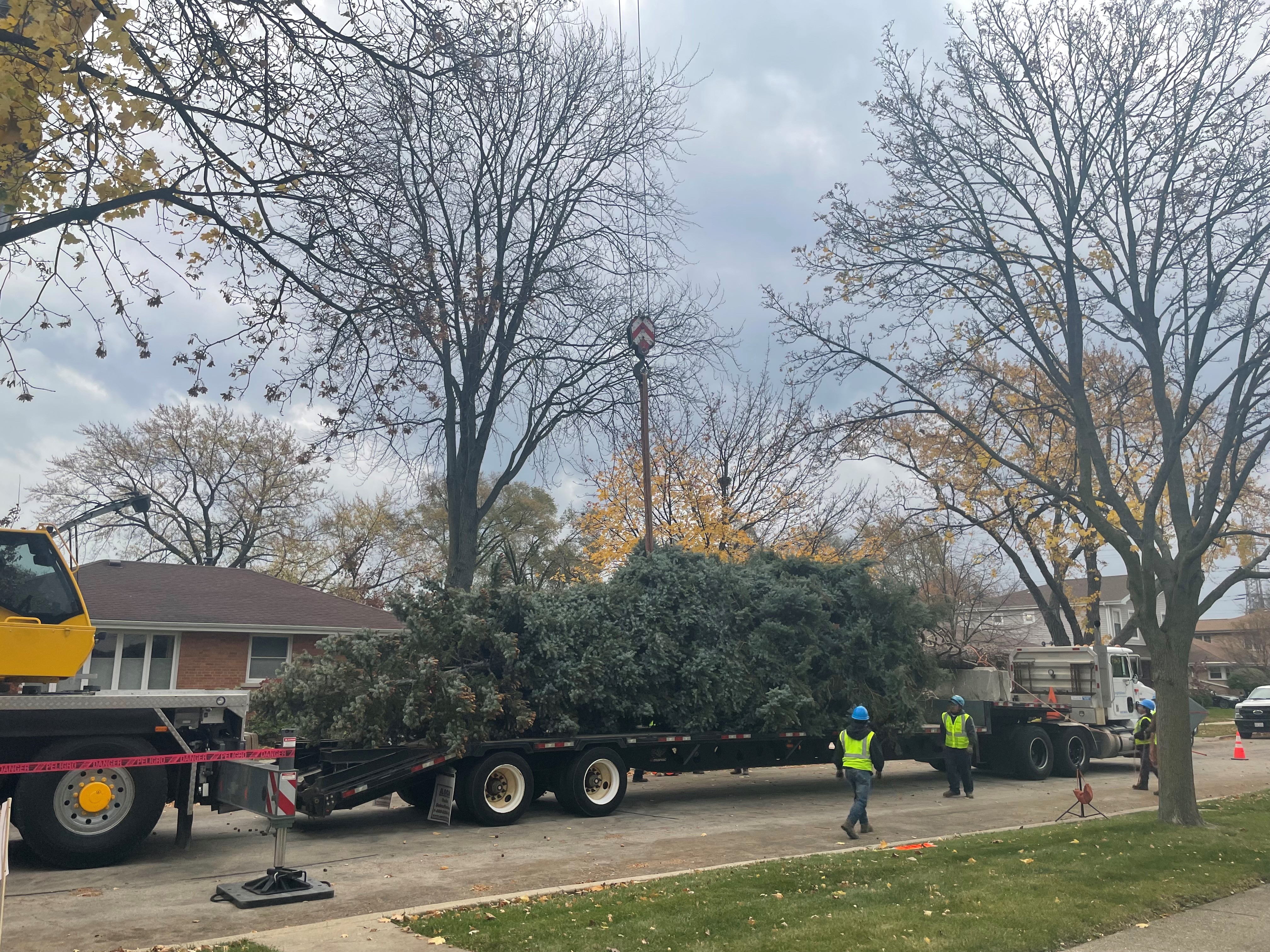 A Guide to the 2022 Chicago Tree Lighting Ceremony NBC Chicago