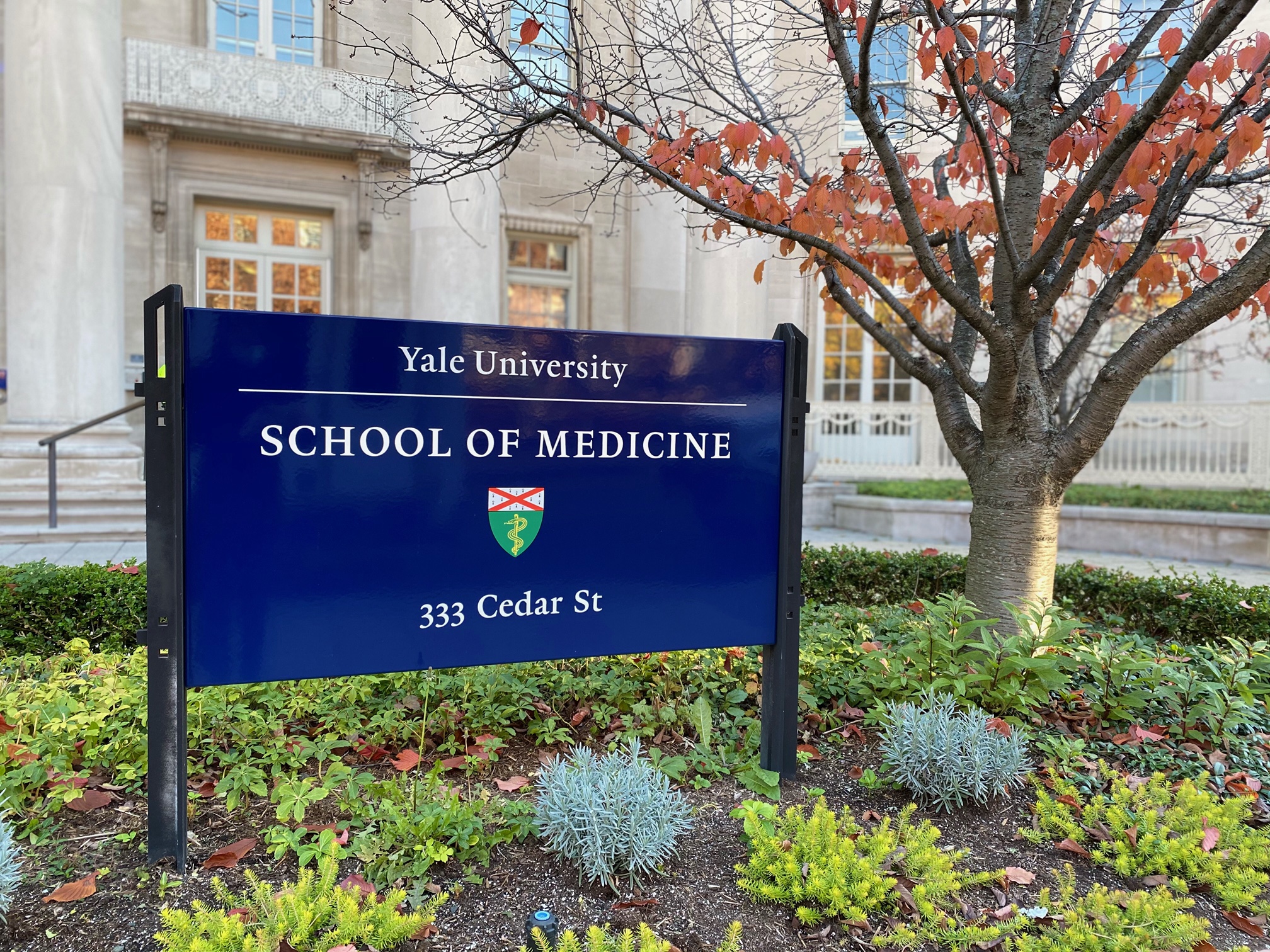 Yale School of Medicine Issues Statement on Controversial Guest Speaker - Vimarsana News