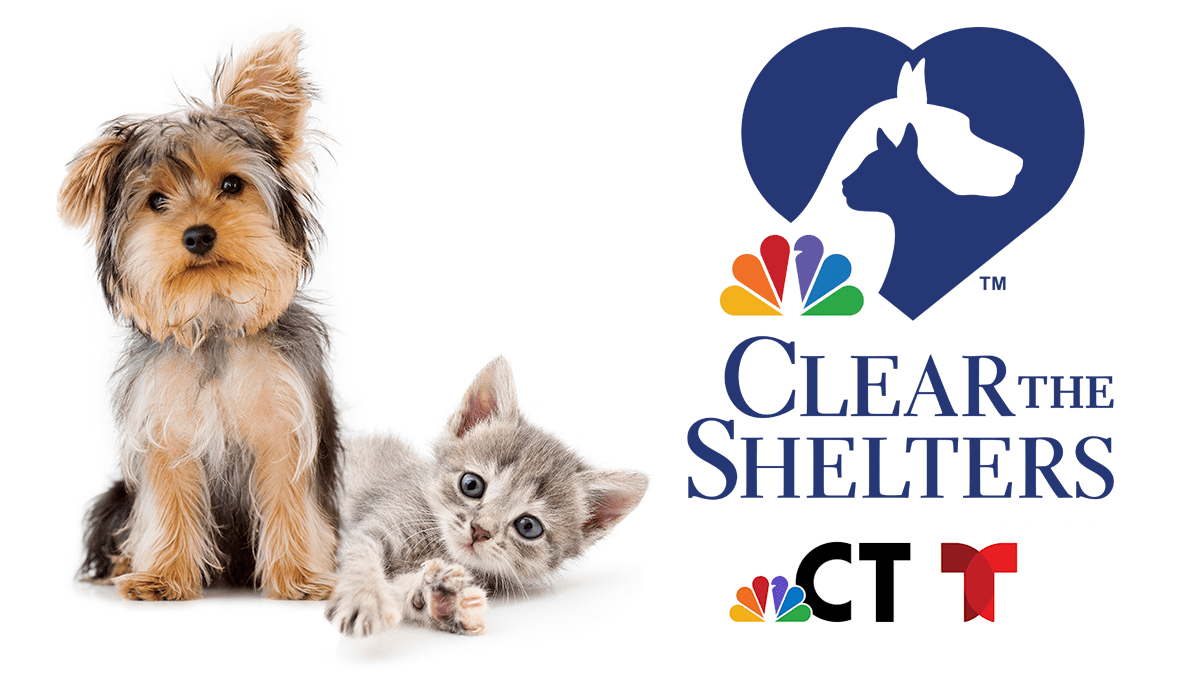 Clear The Shelters 2021 Participating Connecticut Shelters NBC