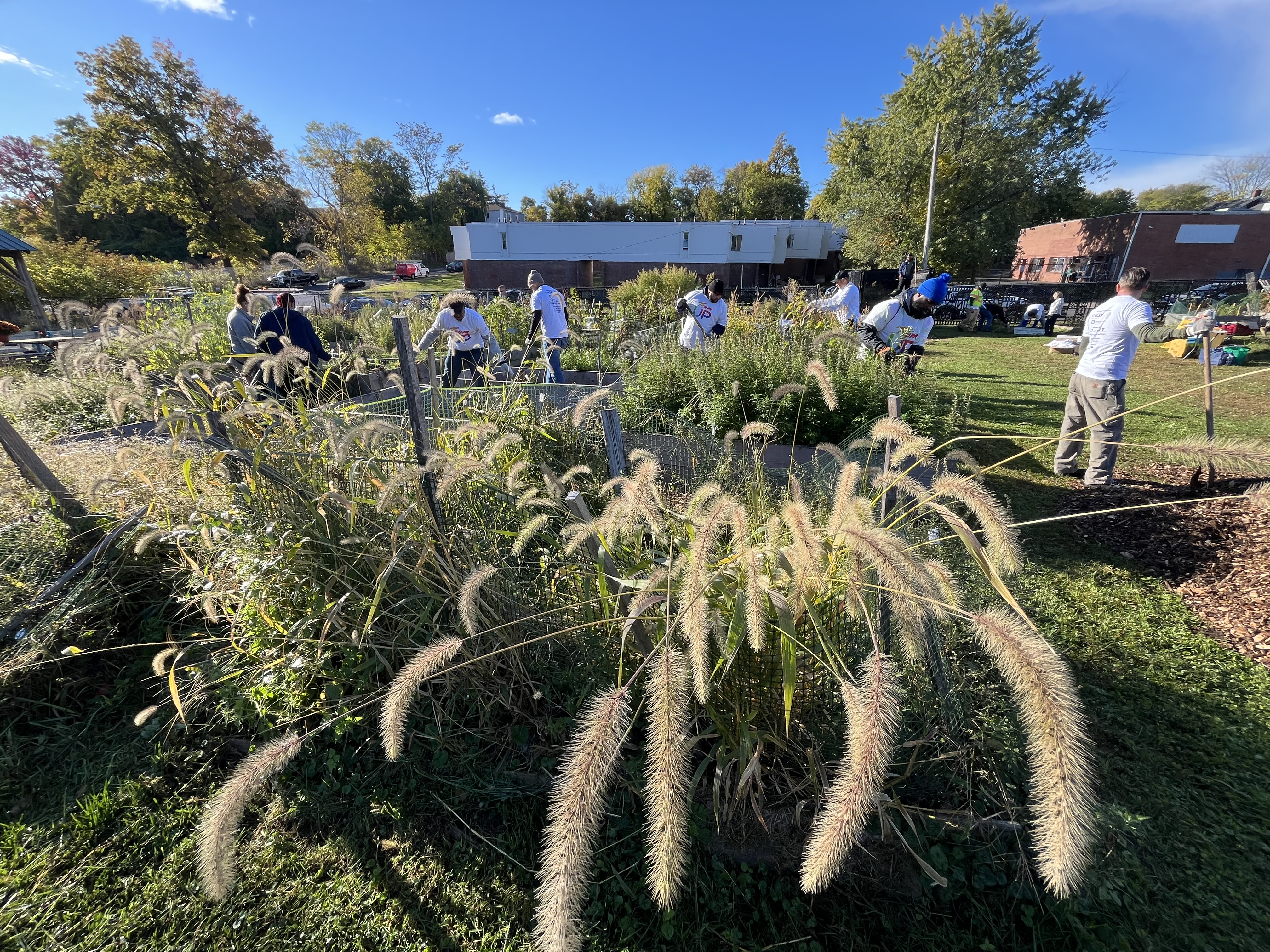 Citywide cleanup of Hartford’s green spaces underway for Love Hartford