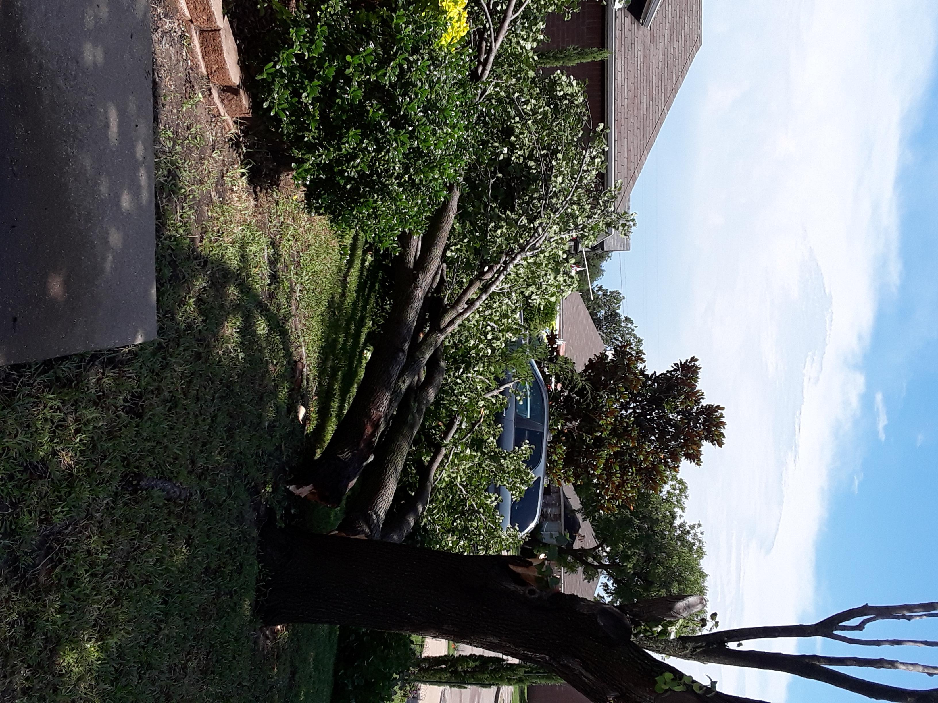 Your Storm Photos June 9, 2019 NBC 5 DallasFort Worth