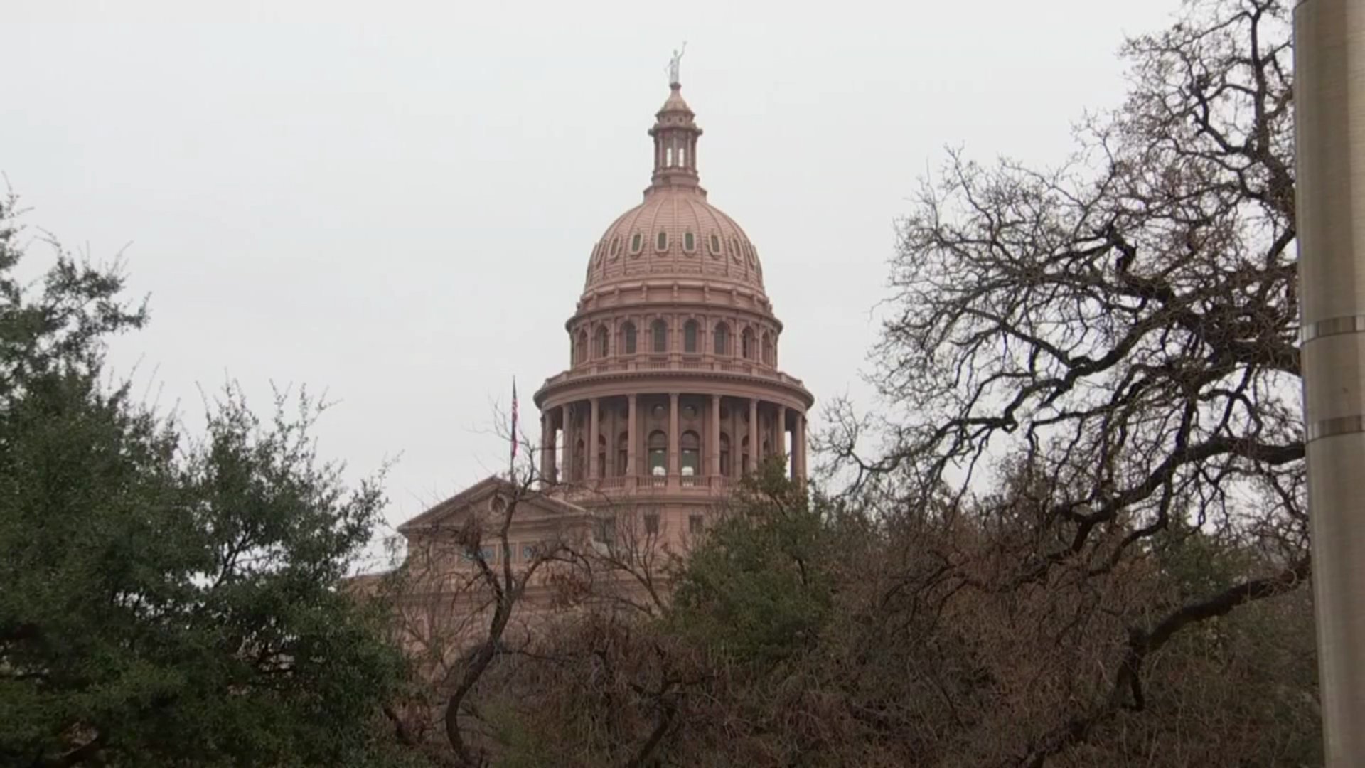 The CROWN Act Heard in Texas House Committee - Vimarsana News