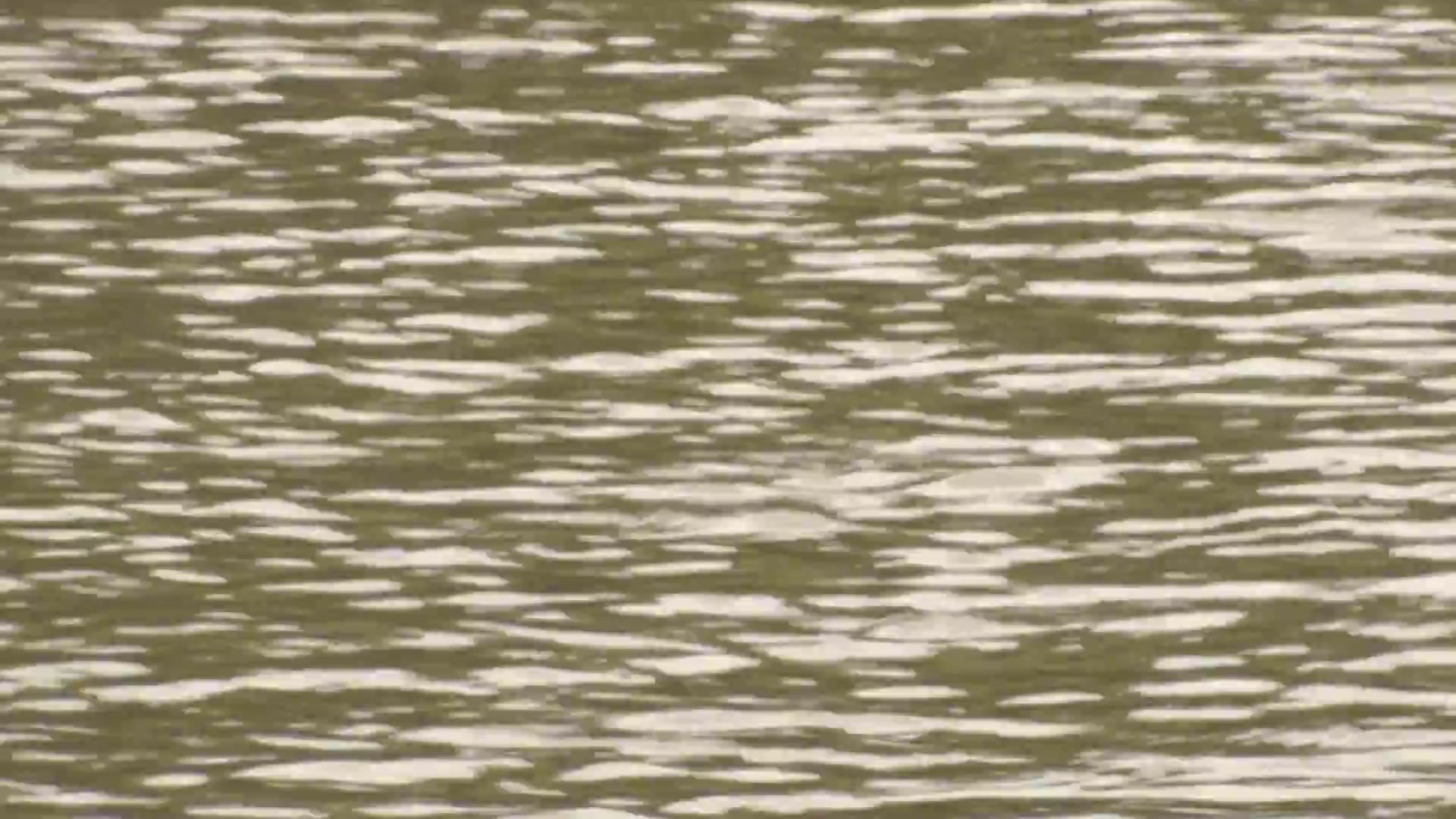 What's the Drought Monitor Looking Like in DFW? – NBC 5 Dallas-Fort Worth - Vimarsana News