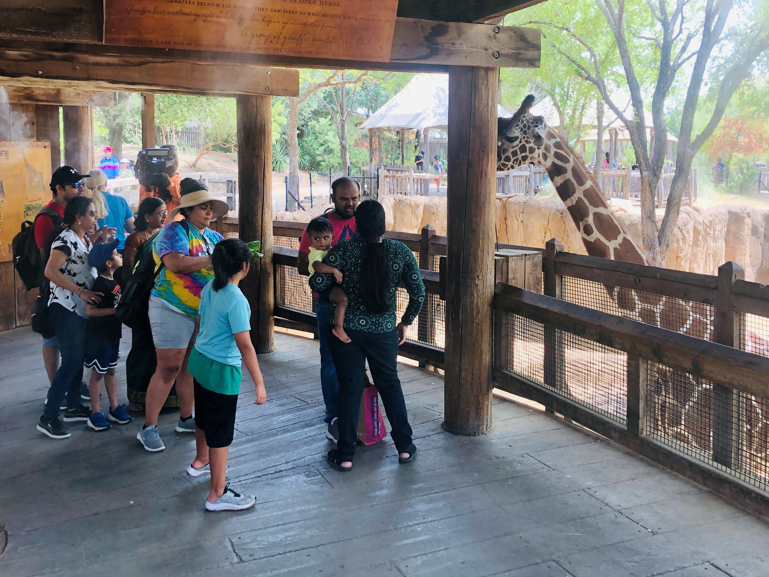 How the Dallas Zoo Kept Visitors Cool on Dollar Day NBC 5 DallasFort