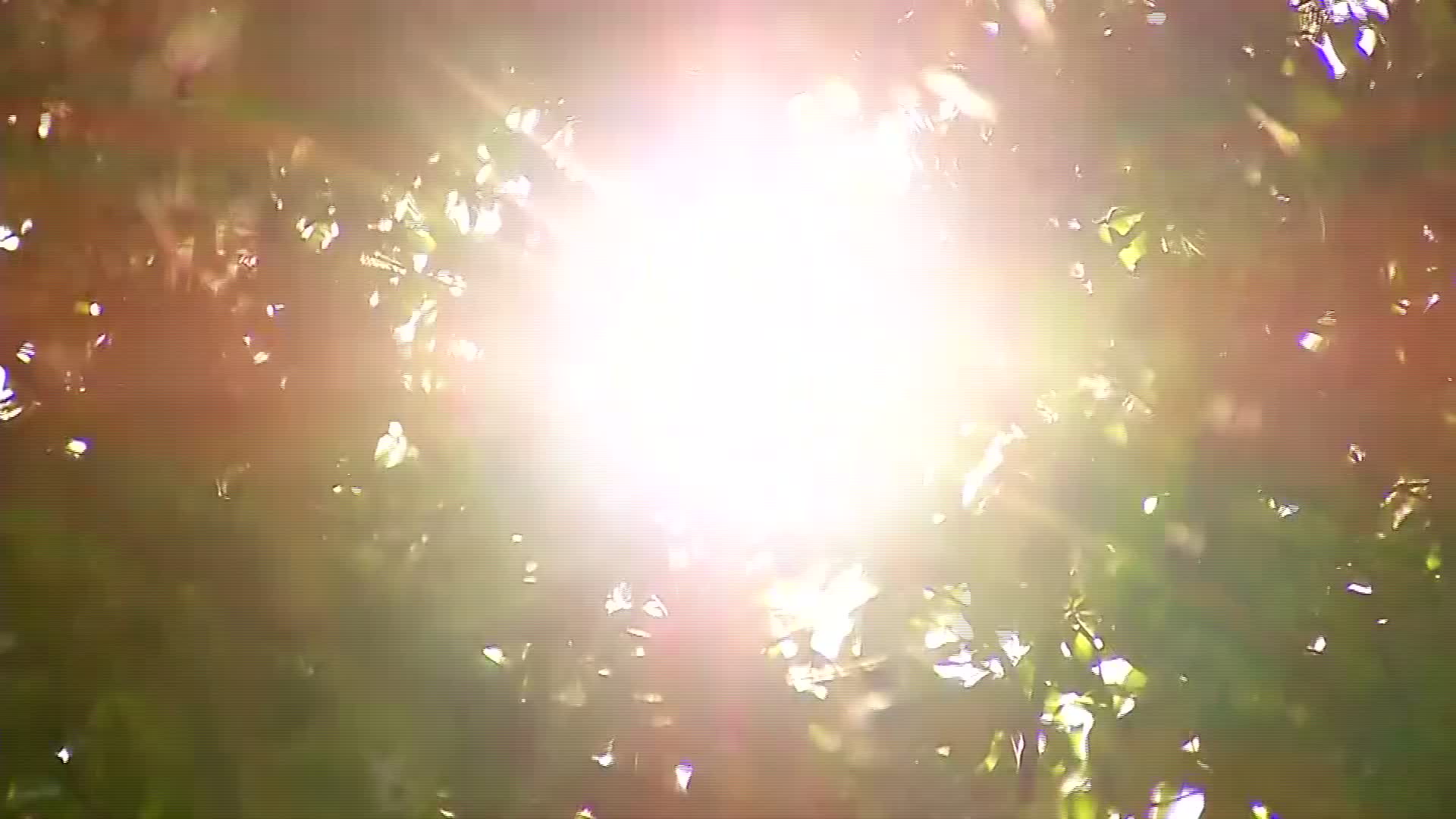 SoCal to Face Heat Wave Next Week