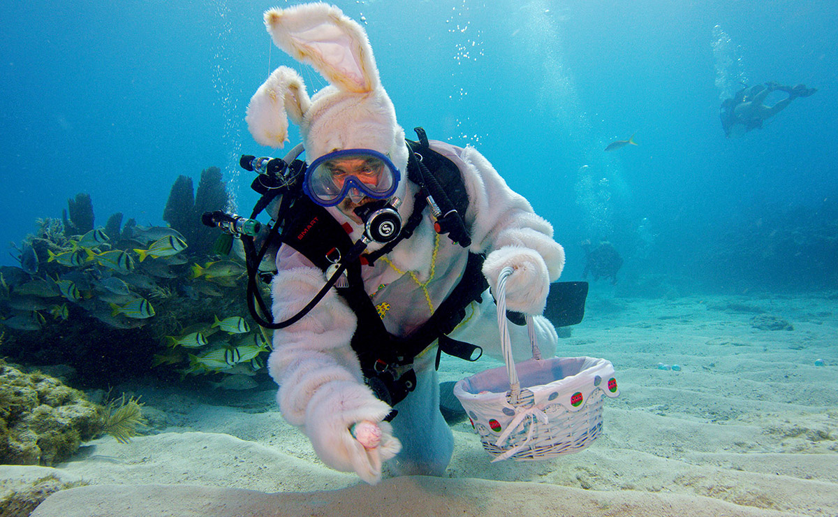 'Easter Bunny' Stages Underwater Egg Hunt Off Florida Keys – NBC 6 South Florida - Vimarsana News