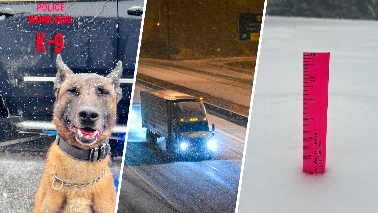 Florida Weather Snow Storm