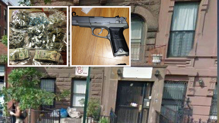 Python, Pit Bulls Seized in Pot Bust Near Harlem Playground NBC New York