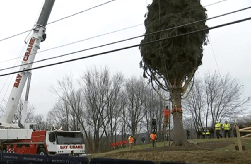 New York Christmas Tree Png / But the giant norway spruce erected at