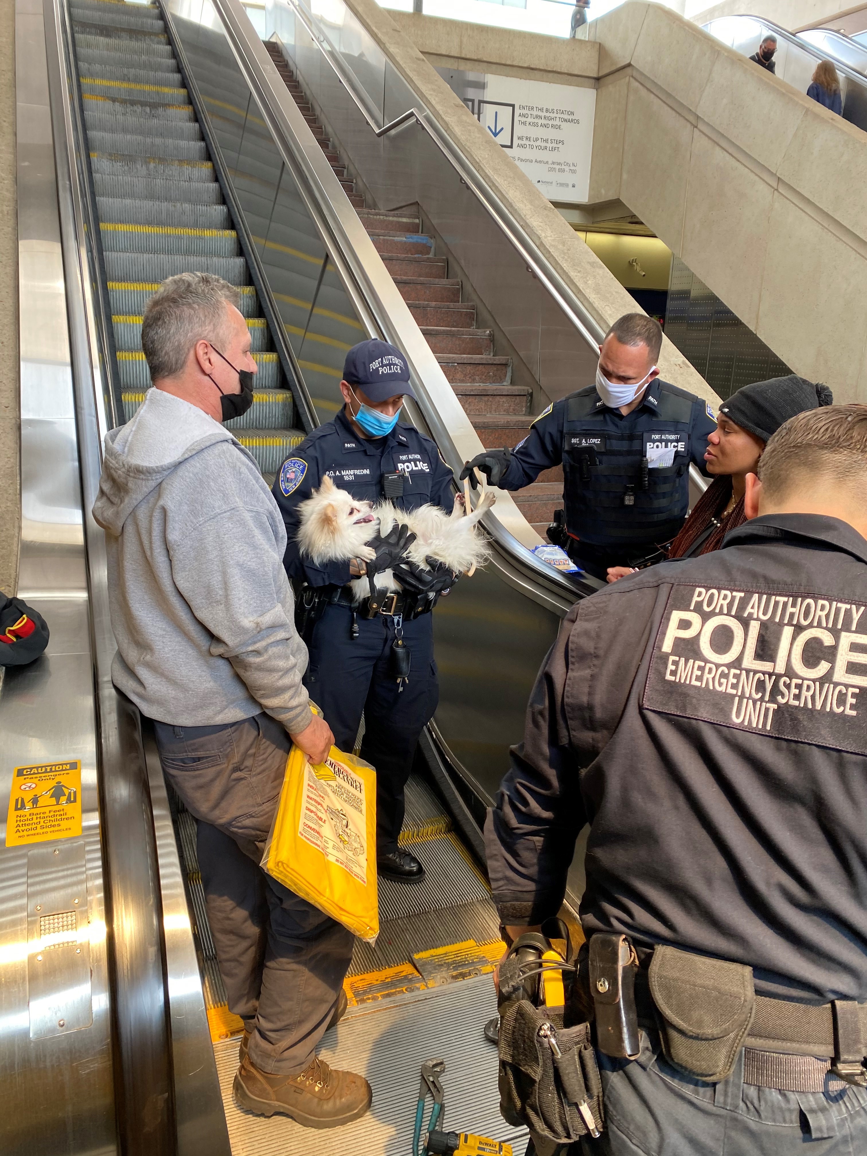 Dog Saved After Paw Gets Stuck in Moving Escalator at Journal Square PATH Station - Vimarsana News