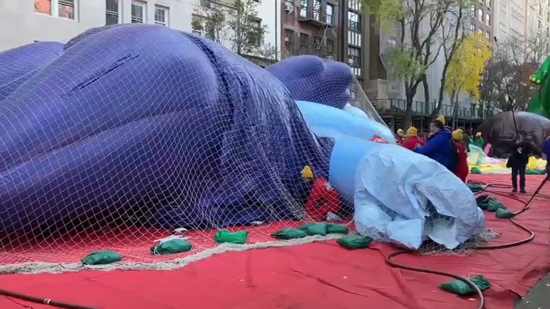 Bluey balloon pops throughout inflation earlier than Macy’s Thanksgiving Day Parade