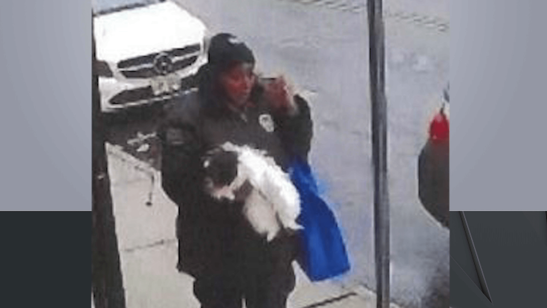 Newark police seek for alleged dognapper caught on digital camera