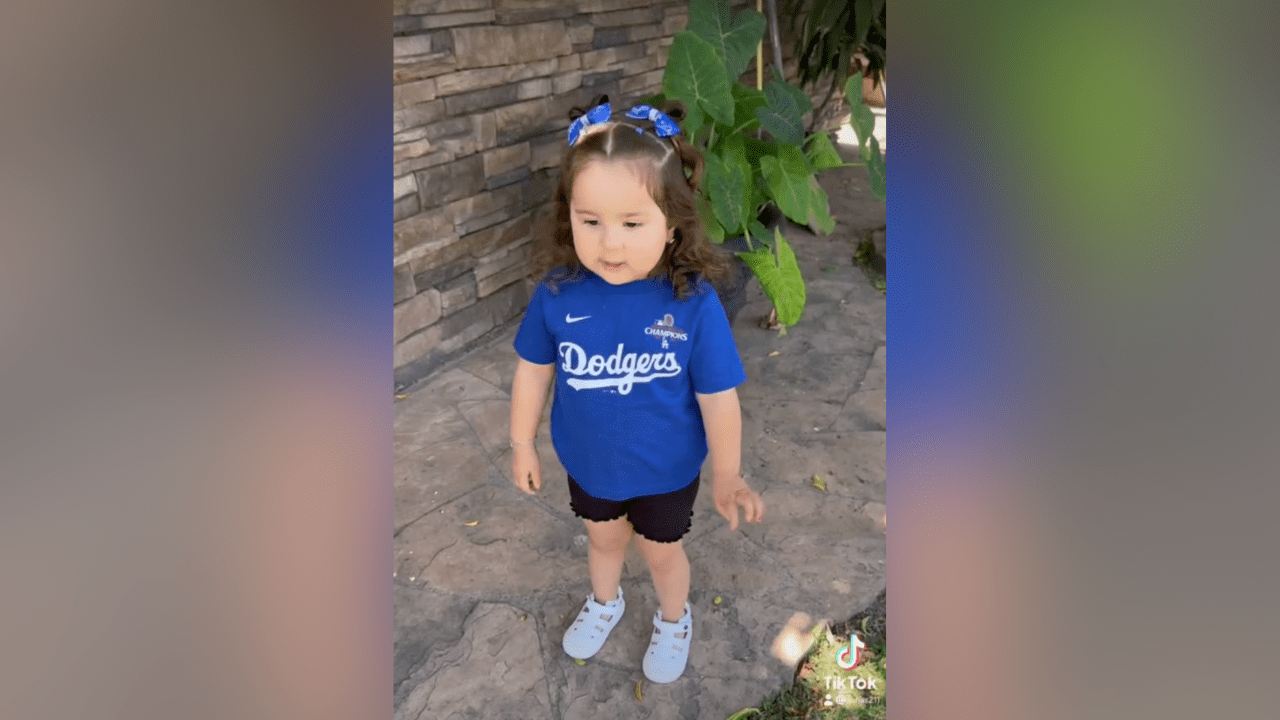 2-year-old goes viral naming her favourite Dodger gamers