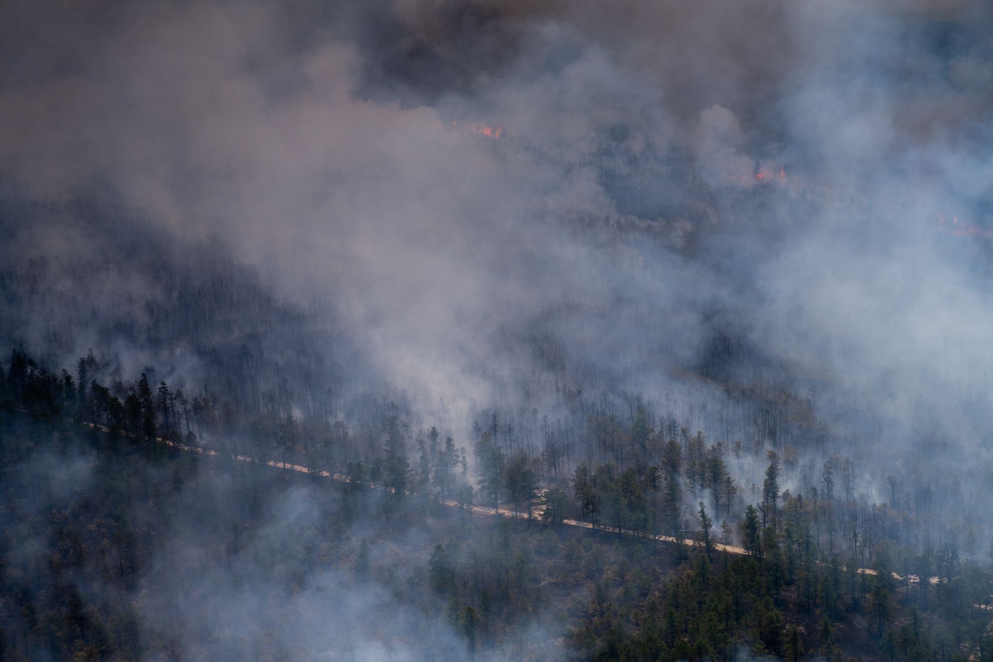 Photos Massive NJ Wildfire is State’s 2nd Largest Since 2007 NBC10