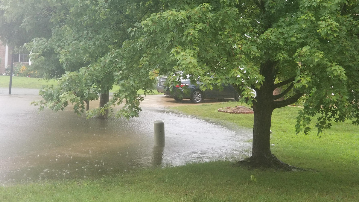 Photos Hurricane Isaias Unleashes Damage on DC, Maryland and Virginia