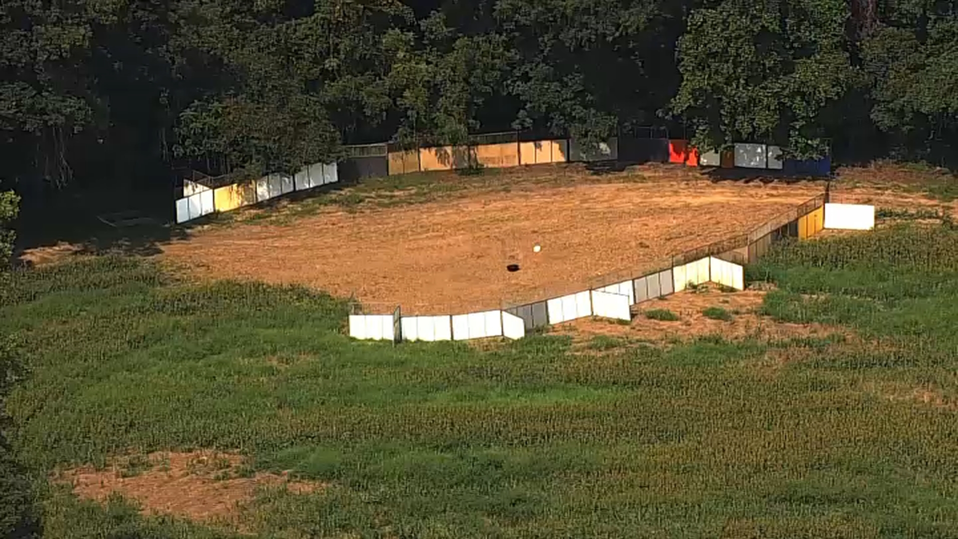 Animal Control Tries to Catch Zebras Still Loose in Maryland NBC4