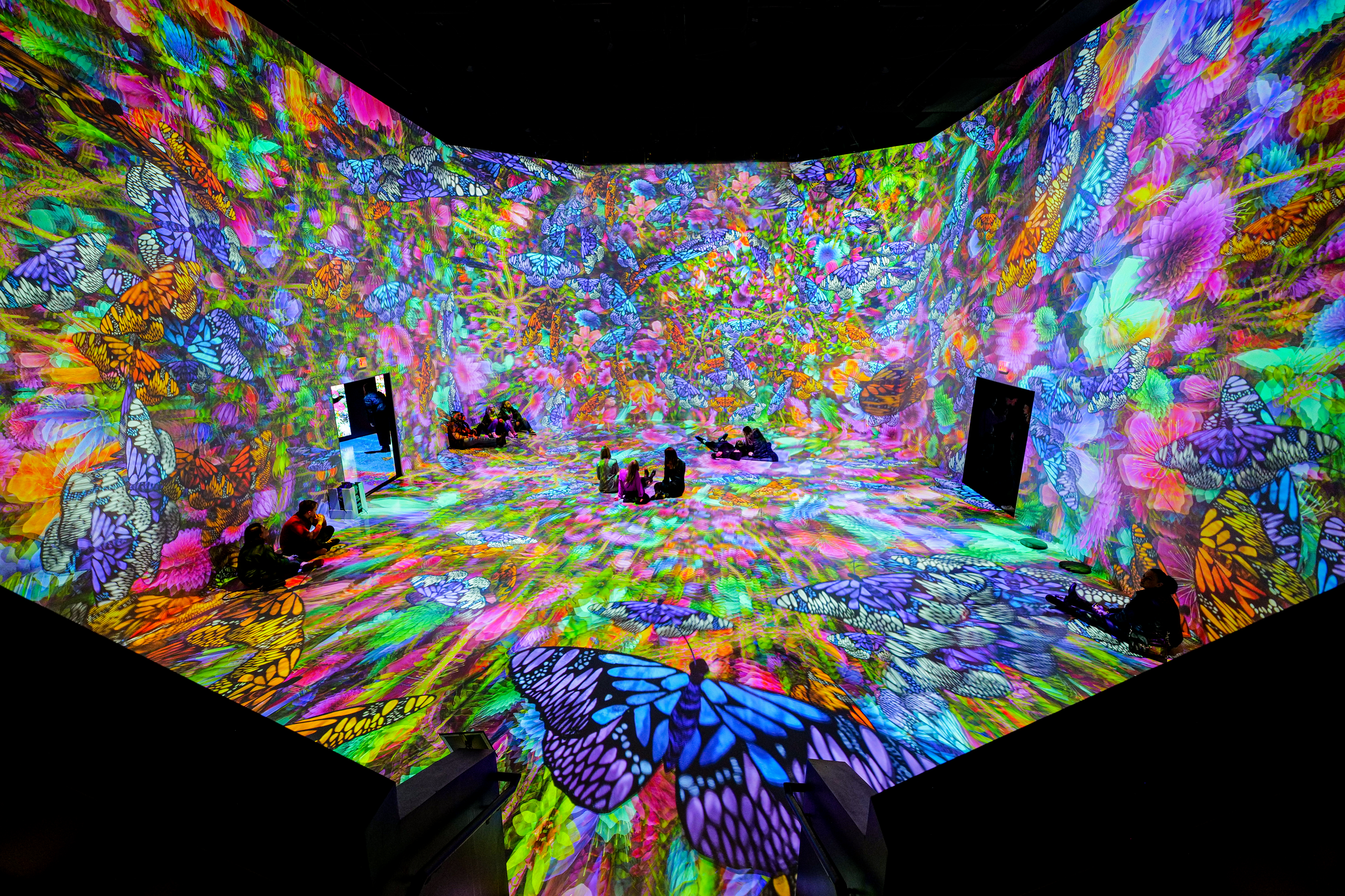 ARTECHOUSE DC Celebrates Cherry Blossoms with New Virtual Exhibition