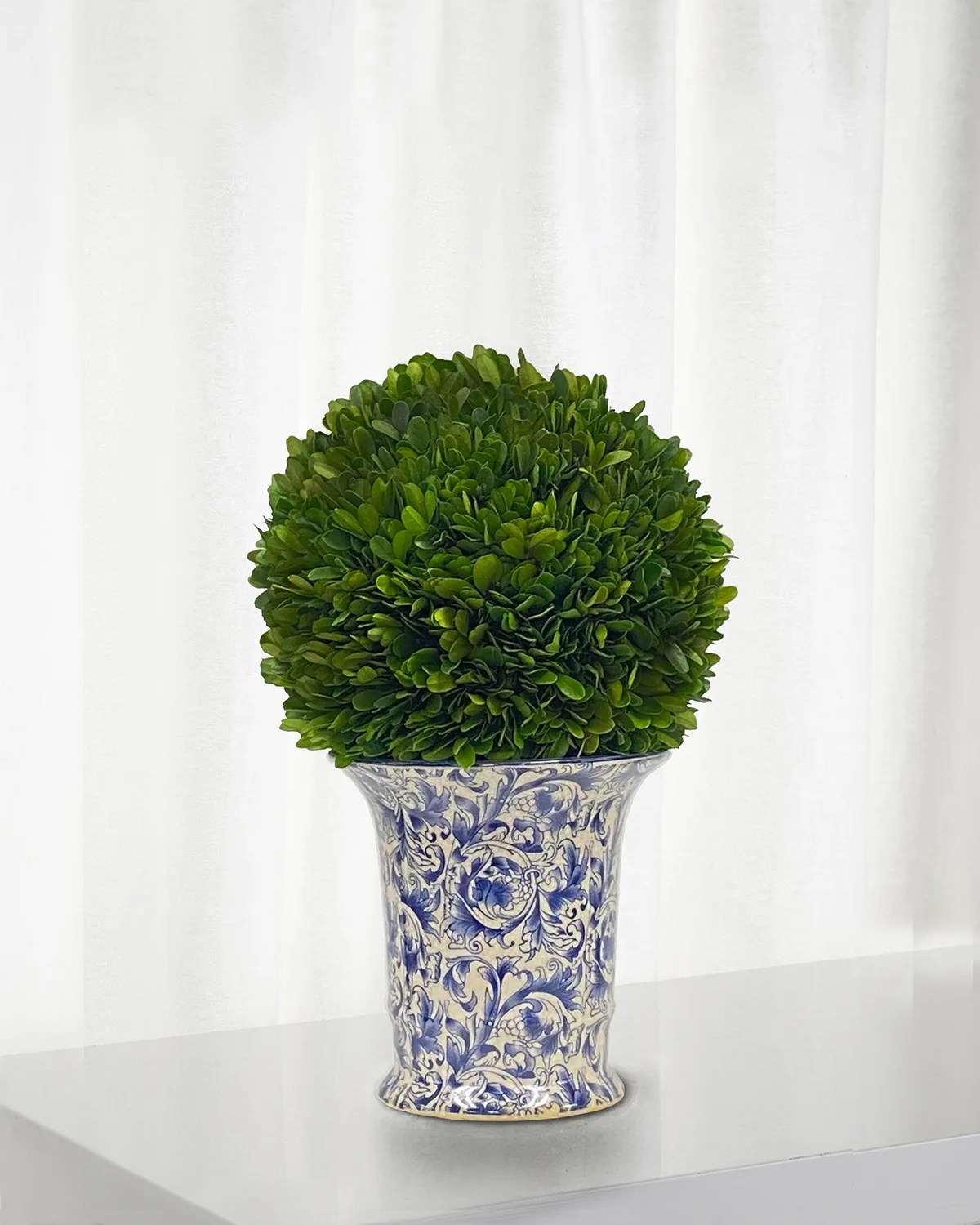 Winward Preserved Coneball Boxwood Topiary In Porcelain Vase 24
