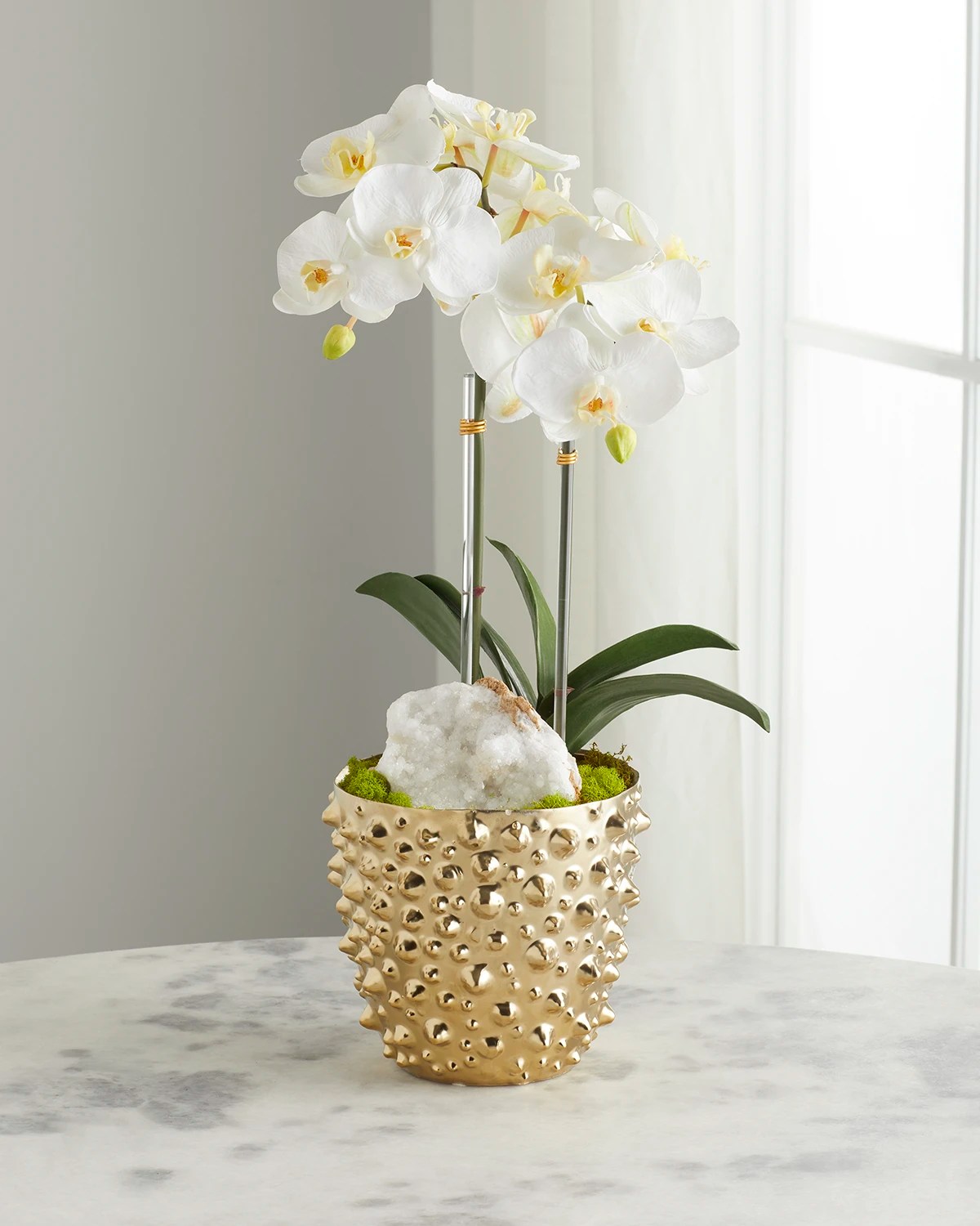 T&C Floral Company Double Orchid Arrangement in White Finned Pot