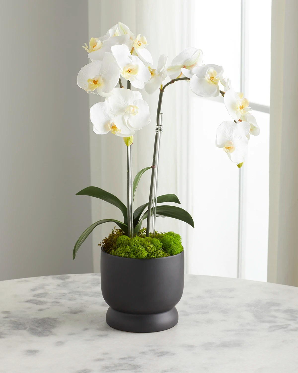 T&C Floral Company Double Orchid Arrangement in White Finned Pot