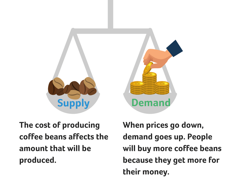 Coffee Bean Economics and Globalization Reading and Questions Lewis