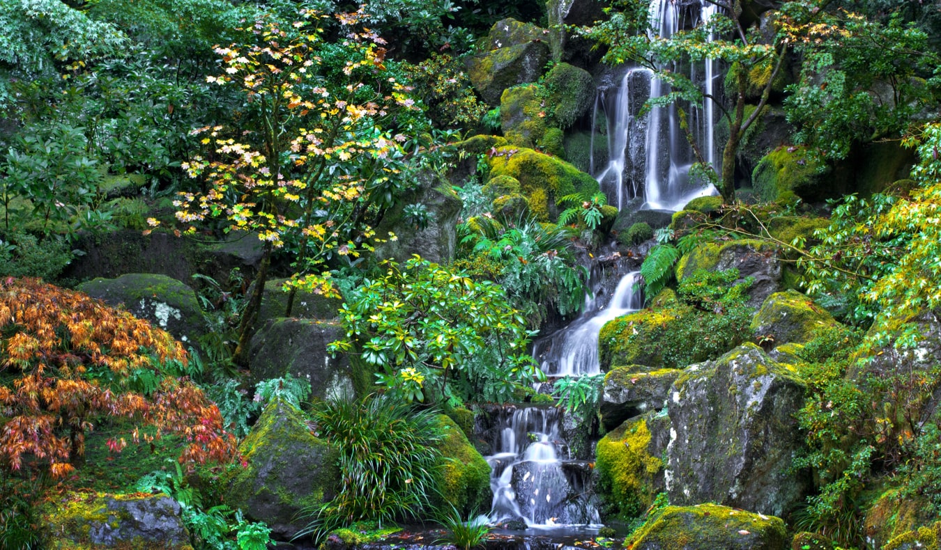 14 Things to See and Do in Portland, Oregon in 2023