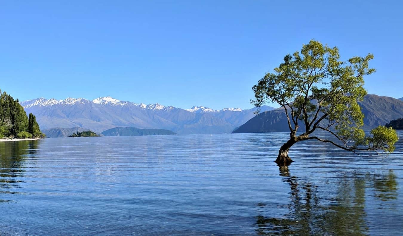 The Ultimate New Zealand Road Trip Itinerary Vacationcatch