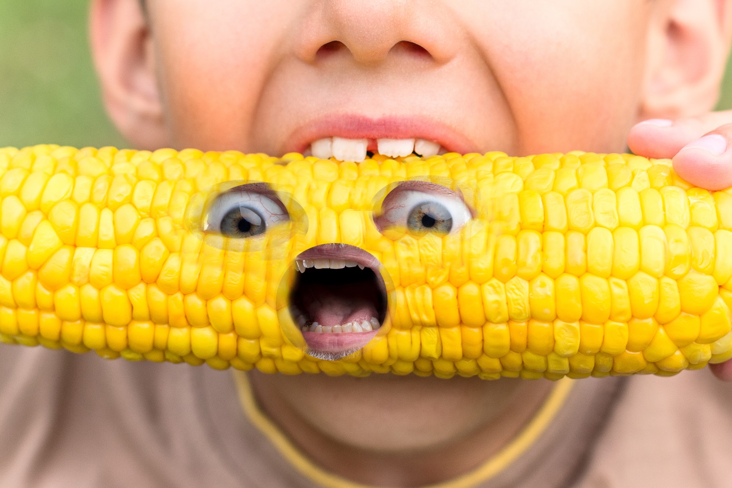 PETA says vegetarians might start eating only fruit that falls off
